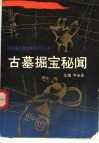 古墓掘宝秘闻 封面