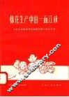 棉花生产中的一面红旗  学习牛桂莲棉花专业队高额丰产的经验 封面