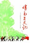 鸡毛上天记  安阳县南崔庄报告文学集  安歌 封面