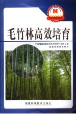 毛竹林高效培育 封面
