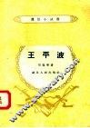 王平波 电子书封面