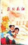 朝阳花红 封面