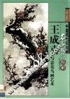 王成喜写意花鸟画艺术 封面
