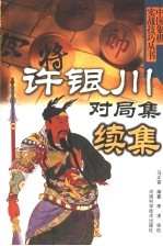 许银川对局集续集 封面