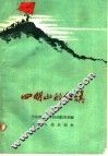 四明山的红旗 封面