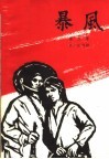 暴风 封面