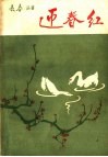 迎春红 封面
