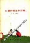 红薯的栽培和贮藏 封面