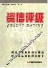 资信评级 封面