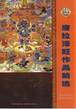 通拉泽旺作品精选 封面