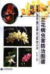 新编兰花病虫害防治图谱 封面