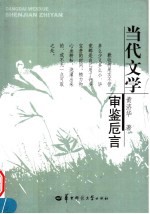 当代文学审鉴卮言 封面