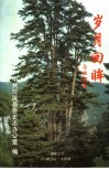 岁月回眸 封面