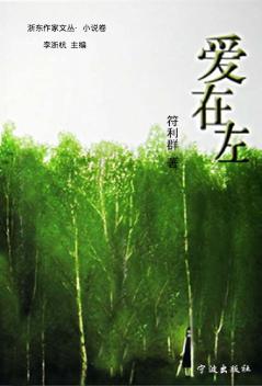 爱在左 封面