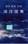 渤海黄海东海海洋图集  化学 封面