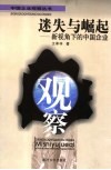 迷失与崛起  新视角下的中国企业 封面