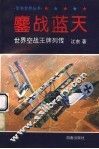鏖战蓝天  世界空战王牌列传 封面