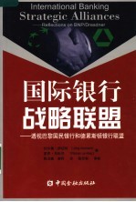 国际银行战略联盟  透视巴黎国民银行和德累斯顿银行联盟 封面