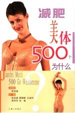 减肥美体500个为什么 封面