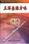 五环查帐方略 封面