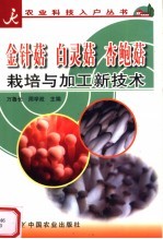 金针菇  白灵菇  杏鲍菇栽培与加工新技术 封面
