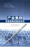 产业集群 获取竞争优势的空间 the space of gaining a competitive advantage 封面