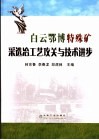 白云鄂博特殊矿采选冶工艺攻关与技术进步 封面