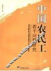 中国农民工若干问题研究 封面