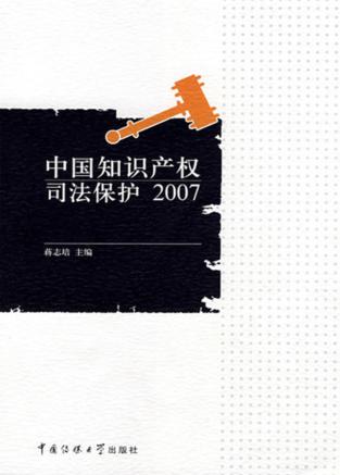 中国知识产权司法保护2007 封面