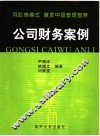 公司财务案例 封面