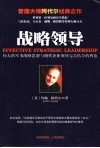 战略领导  伟大的军事战略思想与现代企业领导完美结合的典范 封面