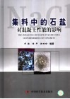 集料中的石盐对混凝土性能的影响 封面