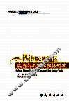 四川民族地区技术创新体系建设研究 封面