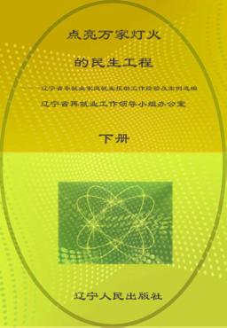 点亮万家灯火的民生工程  下  辽宁省零就业家庭就业援助工作经验及案例选编 封面