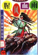 公孙梦作品集  腥风血雨  中 封面