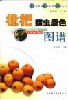 枇杷病虫原色图谱 封面