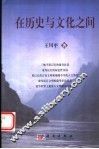 在历史与文化之间 封面