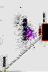 法律与公正 封面