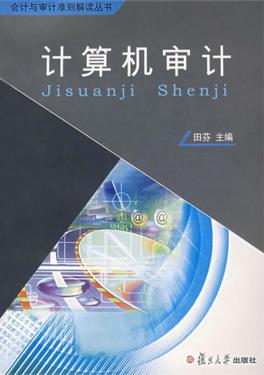 计算机审计 封面