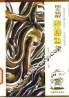 图文精解养鳝鱼技术 封面