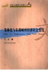 集体化与东邵疃村经济社会变迁 封面