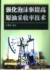 强化泡沫驱提高原油采收率技术 封面