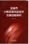 玉溪市少数民族地区经济发展战略研究 封面