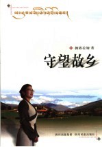 守望故乡 封面