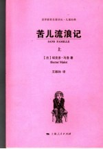 苦儿流浪记  上 封面