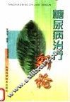 糖尿病治疗新论  第2版 封面