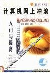 计算机网上冲浪入门与提高 封面