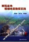 断陷盆地精细地震勘探实践 封面