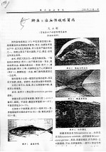 鰤鱼α溶血性链球菌病 封面