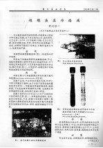 鲑鳟鱼类疖疮病 封面